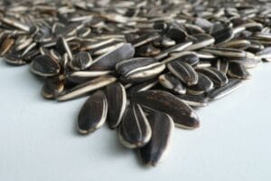 Sunflower-seeds