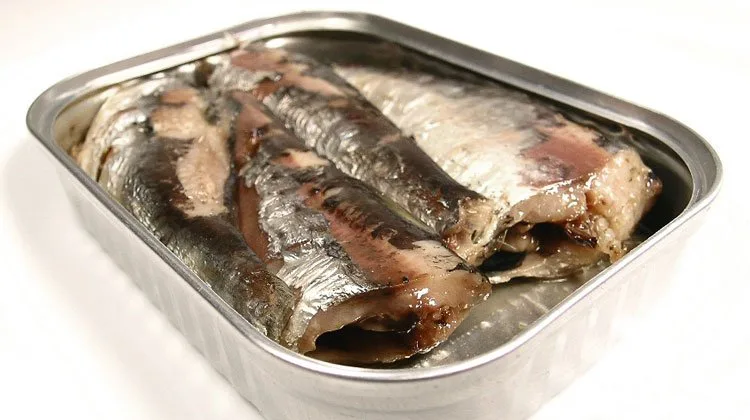 can_fish