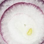 onion_feature