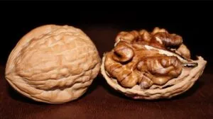 walnuts_f