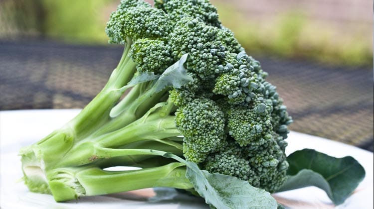 Cruciferous