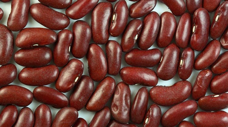Kidney-beans