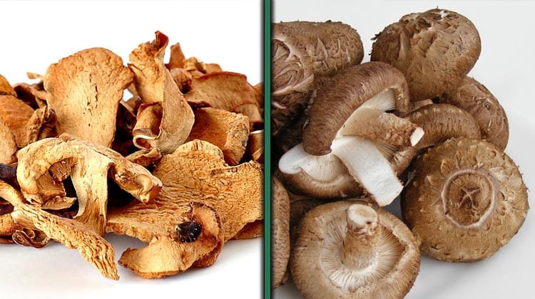 Maitake_Shiitake_mushrooms