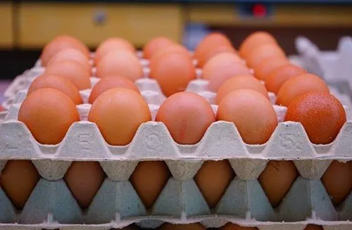 Recognize how old an egg is!