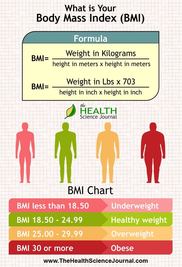 Do You Know What Your Bmi Is The Health Science Journal