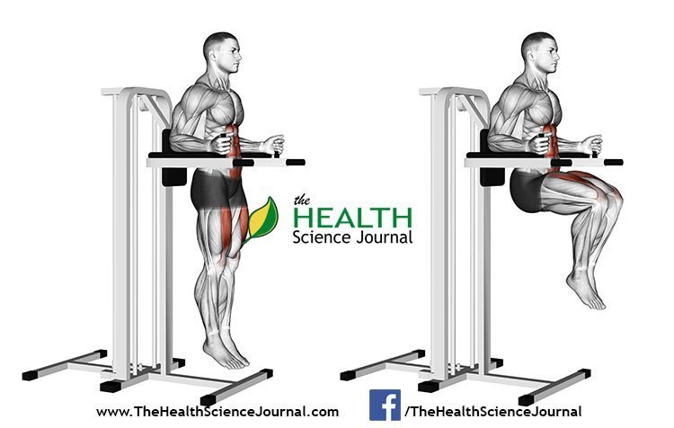 © Sasham | Dreamstime.com - Exercising for bodybuilding. Knee Raise on parallel bars