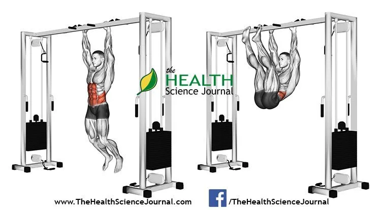 © Sasham | Dreamstime.com - Exercising for bodybuilding. Pulling the legs to the arms hanging on the crossbar