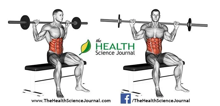 © Sasham | Dreamstime.com - Exercising for bodybuilding. Seated Barbell Twist