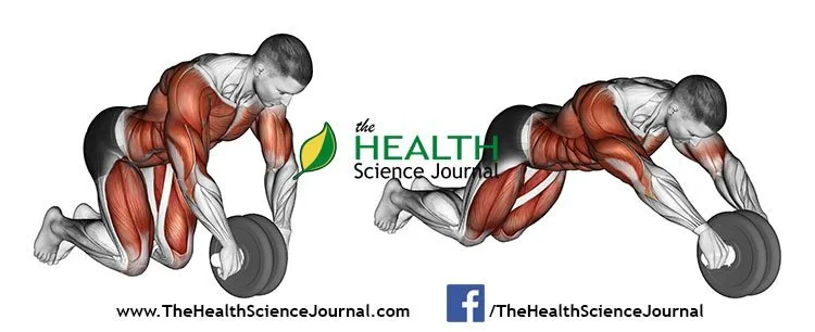 © Sasham | Dreamstime.com - Exercising for bodybuilding. Straightening simulator wheel