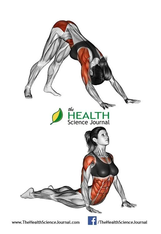© Sasham | Dreamstime.com - Fitness-Yoga exercising. Indian push-ups. Female