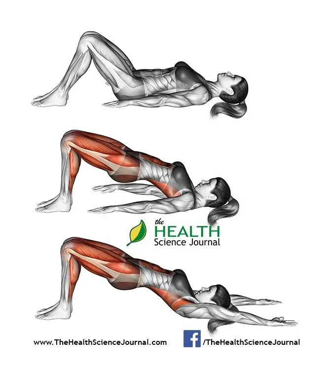 © Sasham | Dreamstime.com - Yoga exercise. Bridge Pose. Setu Bandhasana. Female