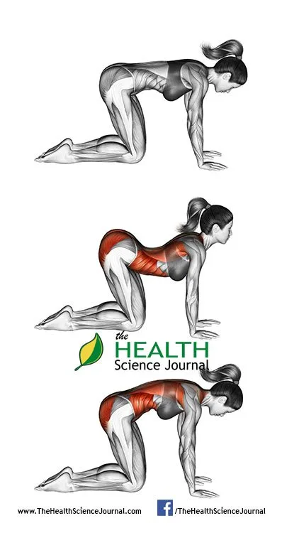 © Sasham | Dreamstime.com - Yoga exercise. Cat pose. Bidalasana. Female