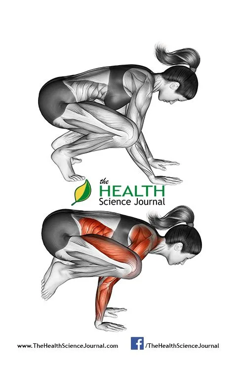 © Sasham | Dreamstime.com - Yoga exercise. Crane Pose. Bakasana. Female
