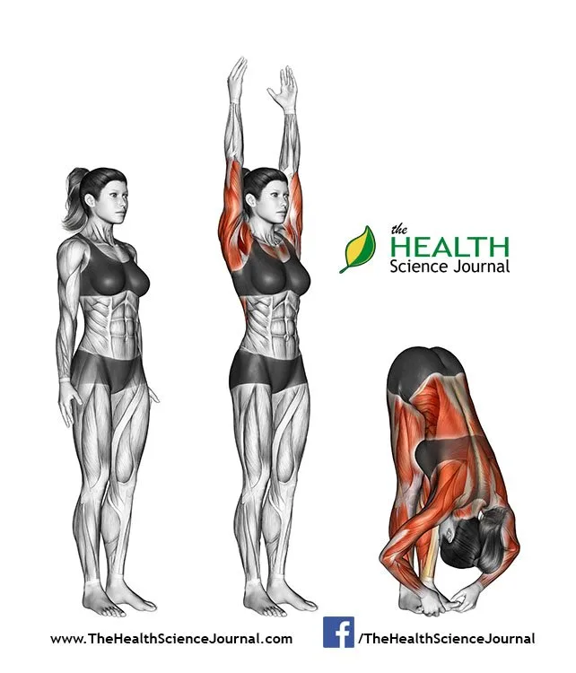© Sasham | Dreamstime.com - Yoga exercise. Hands to Feet Pada. Hastasana. Female