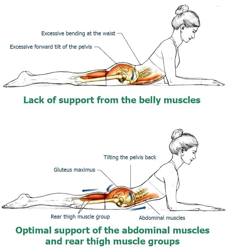 support-from-belly-muscles