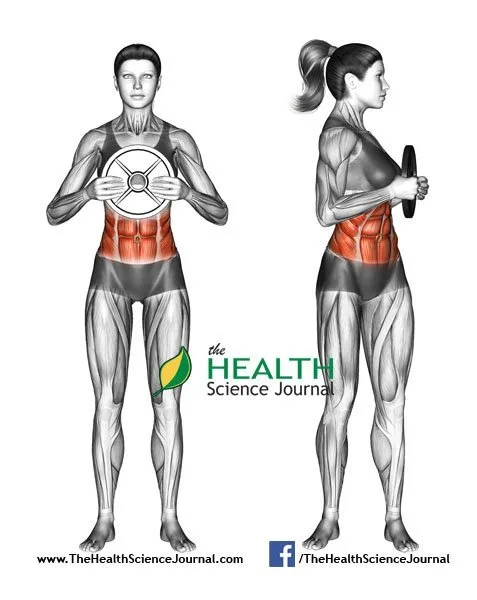 © Sasham | Dreamstime.com - Exercising for Fitness. Oblique Twist with Weight Plate. Female
