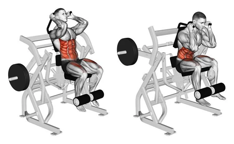 © Sasham | Dreamstime.com - Exercising for bodybuilding. Bending body to abdominal muscles and legs