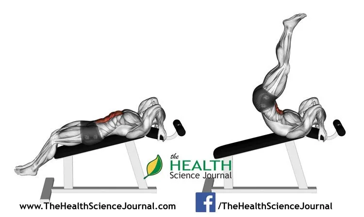 © Sasham | Dreamstime.com - Exercising for bodybuilding. Decline Reverse Crunch