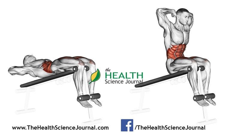 © Sasham | Dreamstime.com - Exercising for bodybuilding. Lifts torso on an incline bench