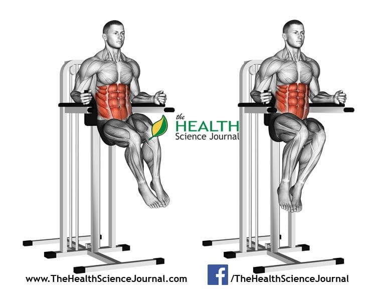 © Sasham | Dreamstime.com - Exercising for bodybuilding. Oblique Raises on Parallel Bars