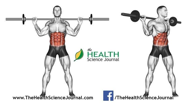 © Sasham | Dreamstime.com - Exercising for bodybuilding. Turns torso with barbell