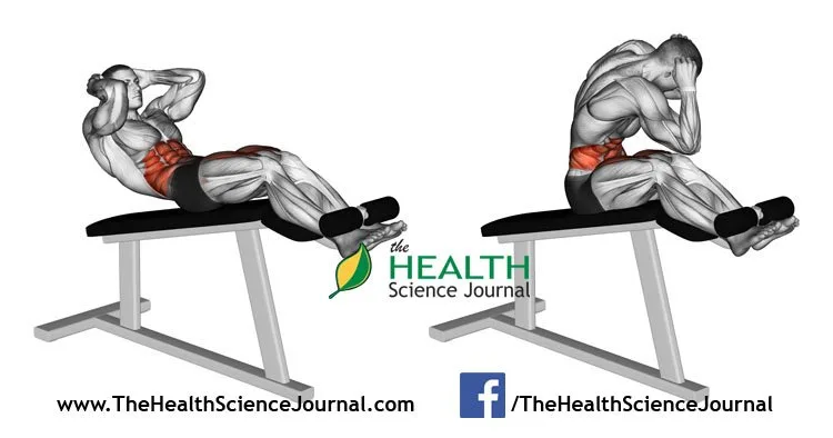 © Sasham | Dreamstime.com - Exercising for bodybuilding. Twisting to turn on the Roman chair