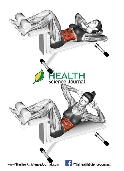 © Sasham | Dreamstime.com - Fitness exercising. Crunch Bench. Female