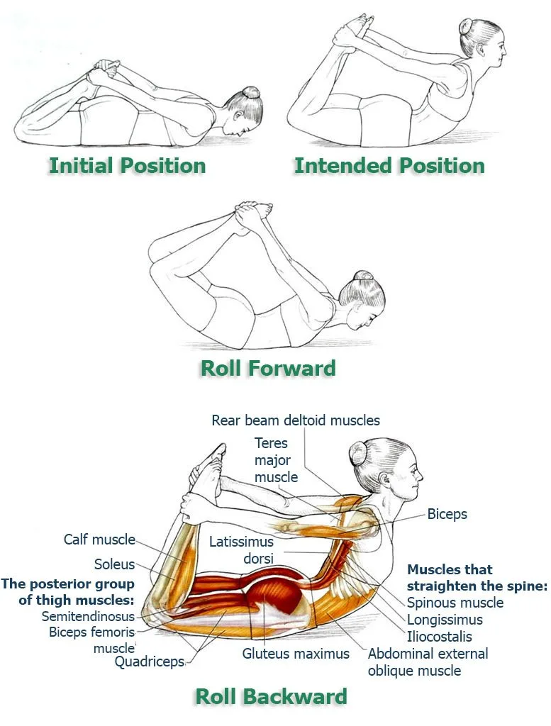 Stomach-Rolls