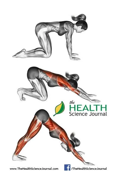 © Sasham | Dreamstime.com - Yoga exercise. Downward Facing Dog. Adho Mukha Svanasana. Female