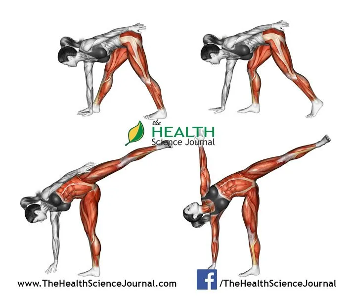 © Sasham | Dreamstime.com - Yoga exercise. Half Moon Pose. Ardha Chandrasana. Female