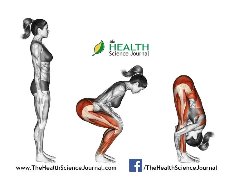 © Sasham | Dreamstime.com - Yoga exercise. Standing Forward Bend. Uttanasana. Female