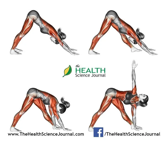 © Sasham | Dreamstime.com - Yoga exercise. Triangle Pose. Trikonasana. Female