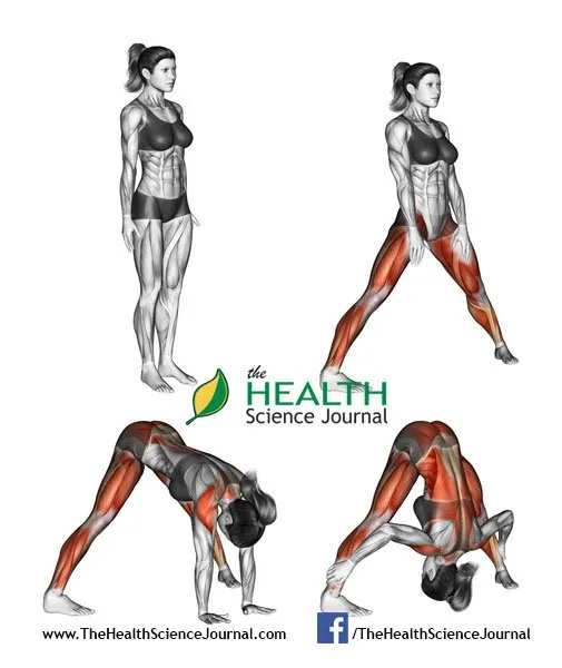 © Sasham | Dreamstime.com - Yoga exercise. Wide-legged Forward Bend. Prasarita Padottanasana. Female