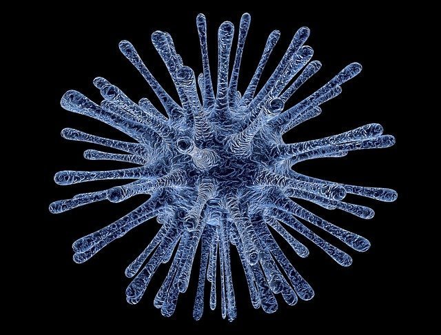Virus Infected Cell