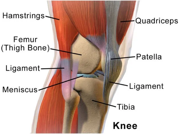 runners-knee