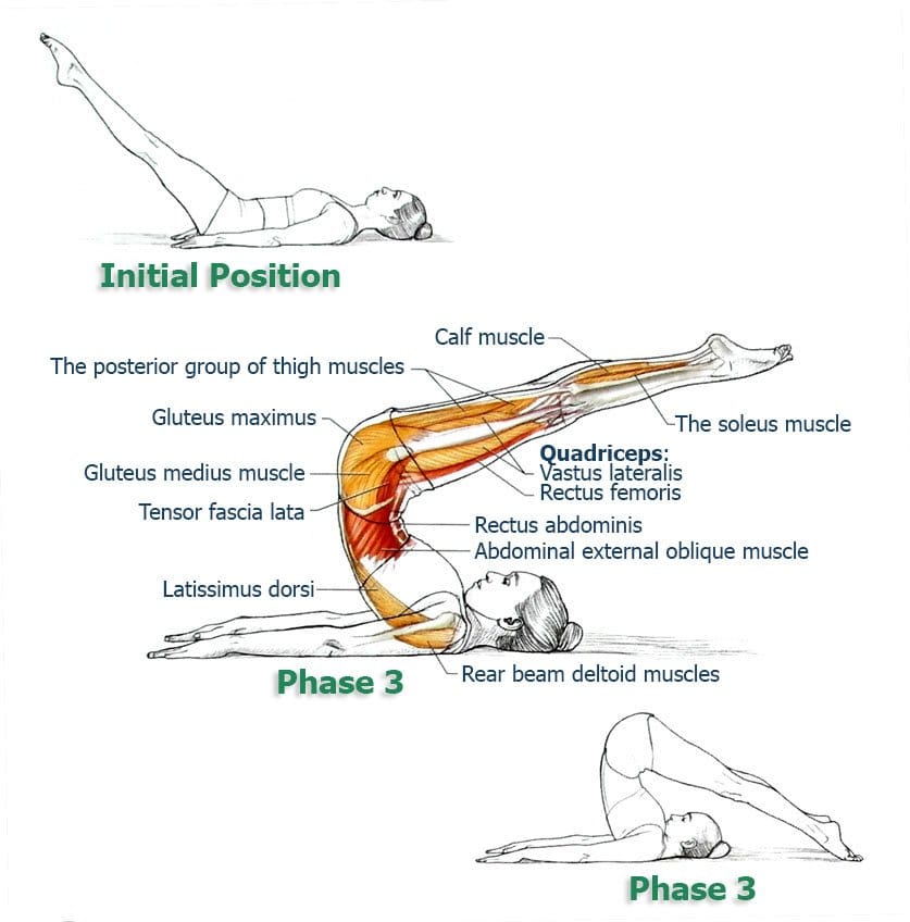 rools-with-straight-legs