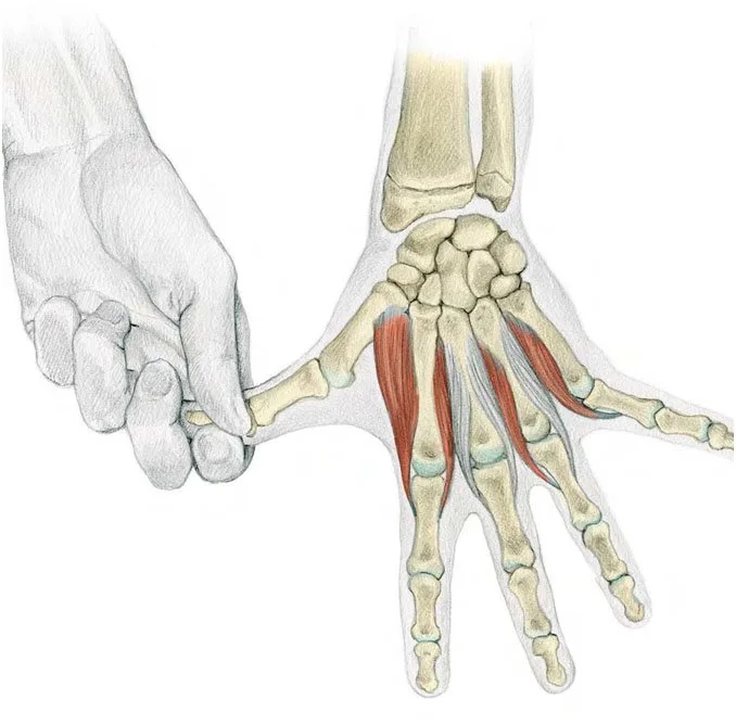 Finger-Separation