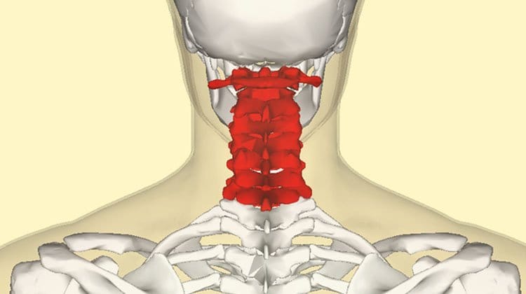 Ways to Manage Posture Problems You Might Not Have Thought