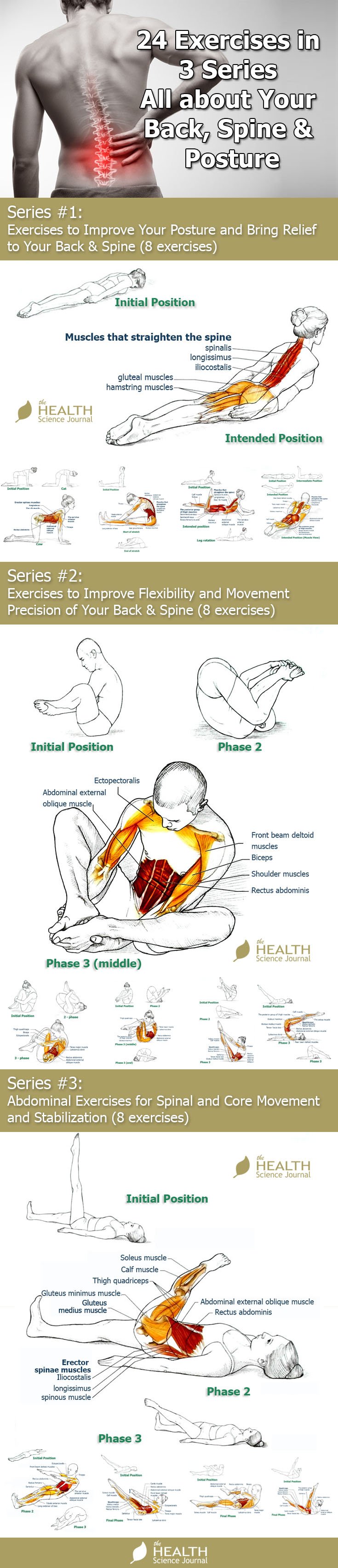 exercises improve back and posture