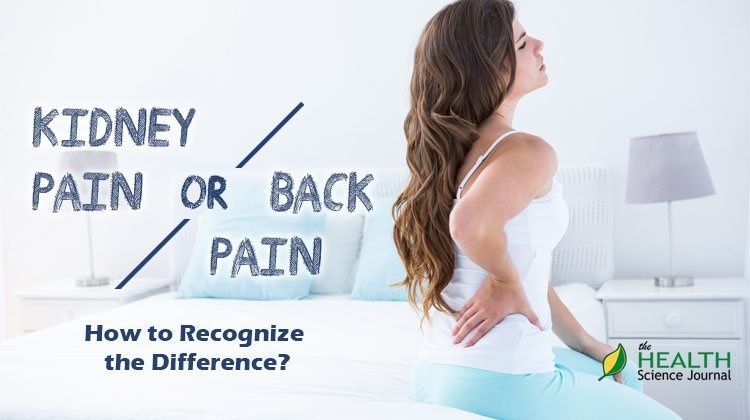 Back Pain Or Kidney Pain  How To Recognize The Difference