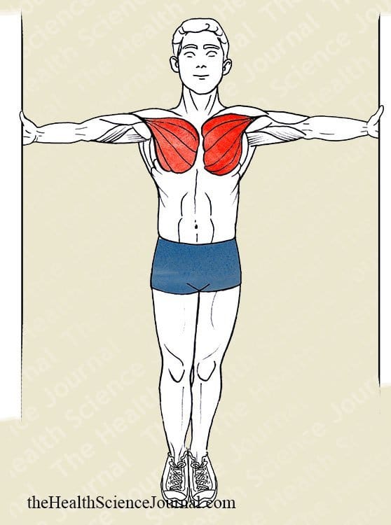 Chest Stretching Against a Corner - Stretching 