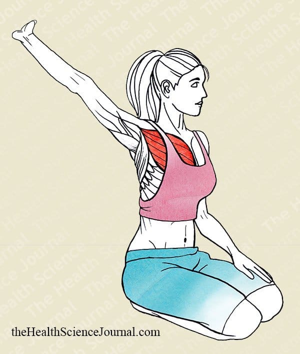 Arm Extension With Assistance - Stretching