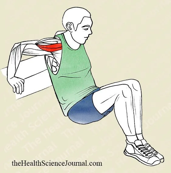 Bench Dip - Stretching