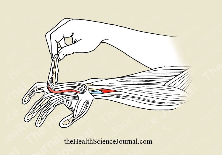 Finger by Finger Extension With Assistance - Stretching