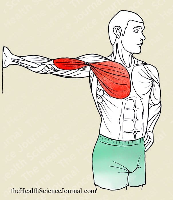 Fixed Arm Torso Rotation - Stretching