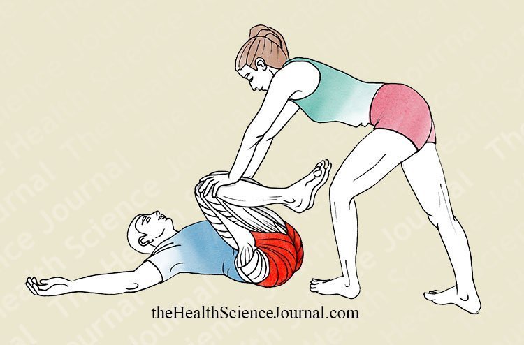 Flexion of the Hip and Knees With Assistance, in Decubitus Supine Position