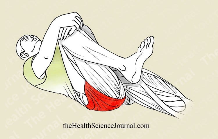 Hip Flexion Lying Down