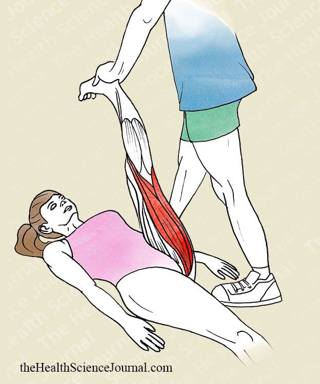 Hip Flexion With Assistance