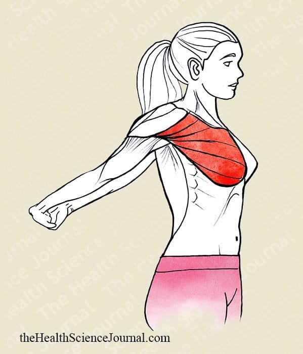 Hyperextension of Shoulders - Stretching