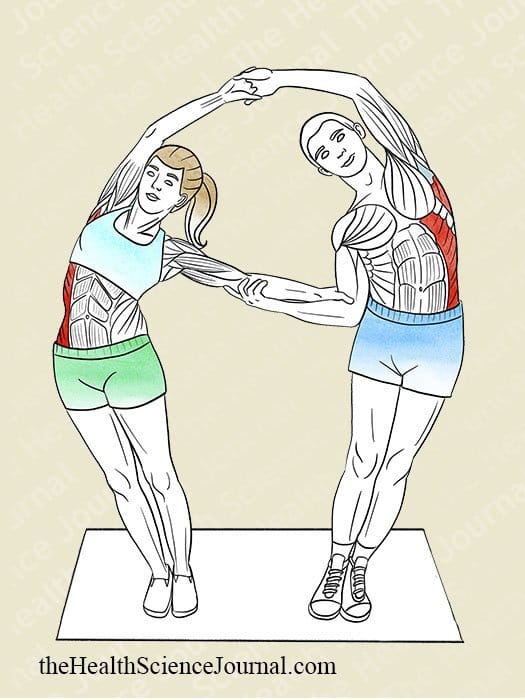 Lateral Bends With a Partner